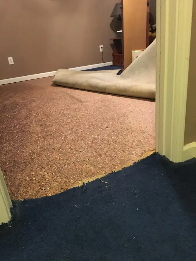 Carpet pad removal revealing water damage during Drying & Dehumidification in Needham