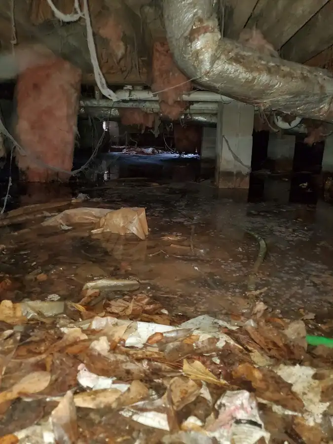 Crawl space flood assessment for Leak Detection & Repair in Needham